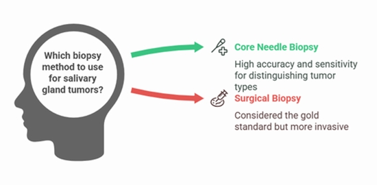 Ultrasound-guided Core Needle Biopsy in Differentiating Benign from Malignant Salivary Gland Lesions {faces}